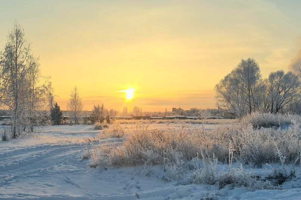 Photograph by Елена Квасова