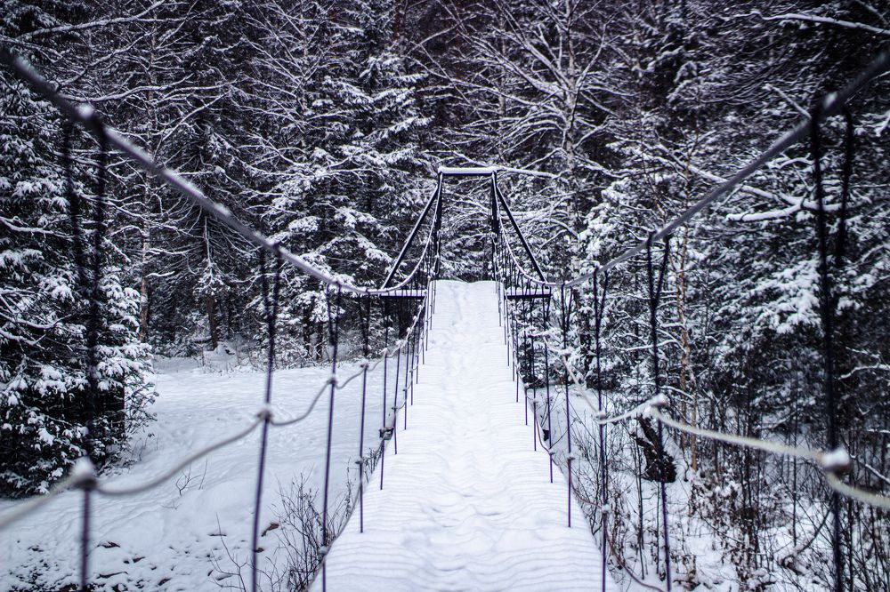 Photograph by Ванда