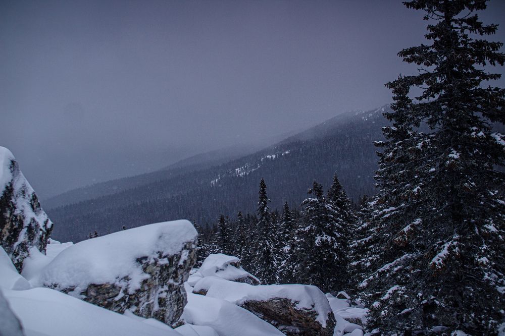 Photograph by Ванда