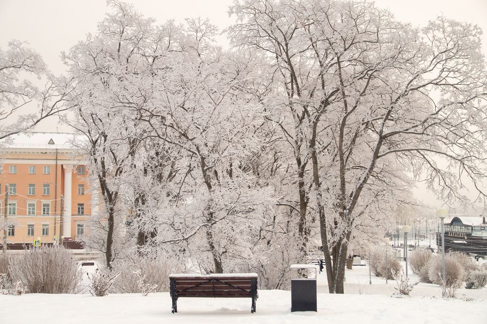 Фотография автора Шубин Евгений