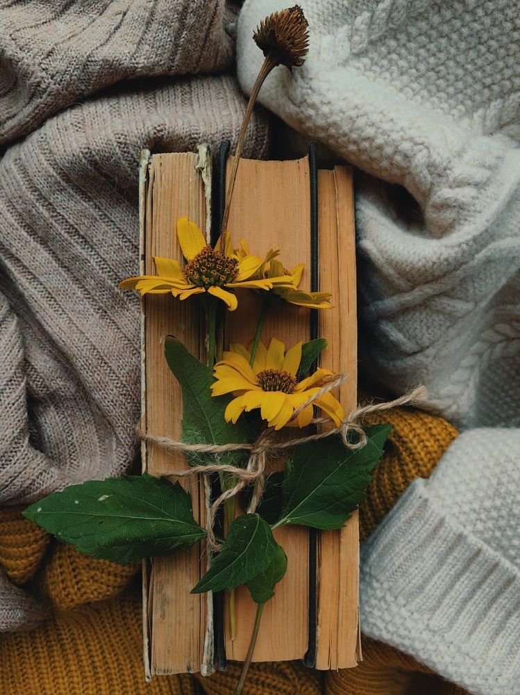 Фотография автора Ольга Панасюк