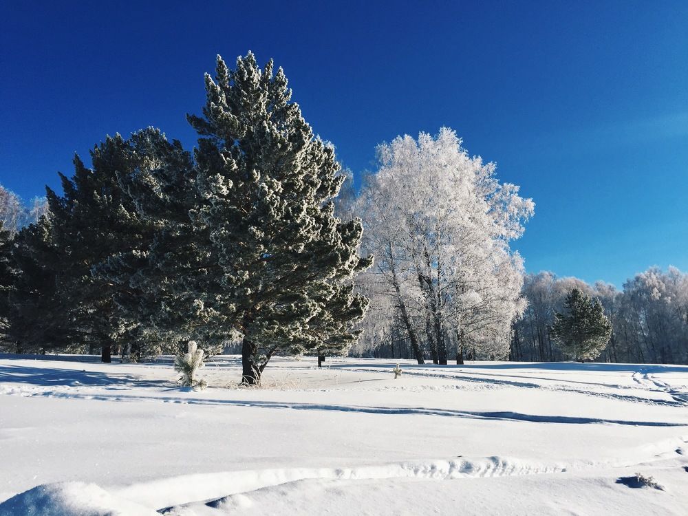 Photograph by Yana Vitkovskaya