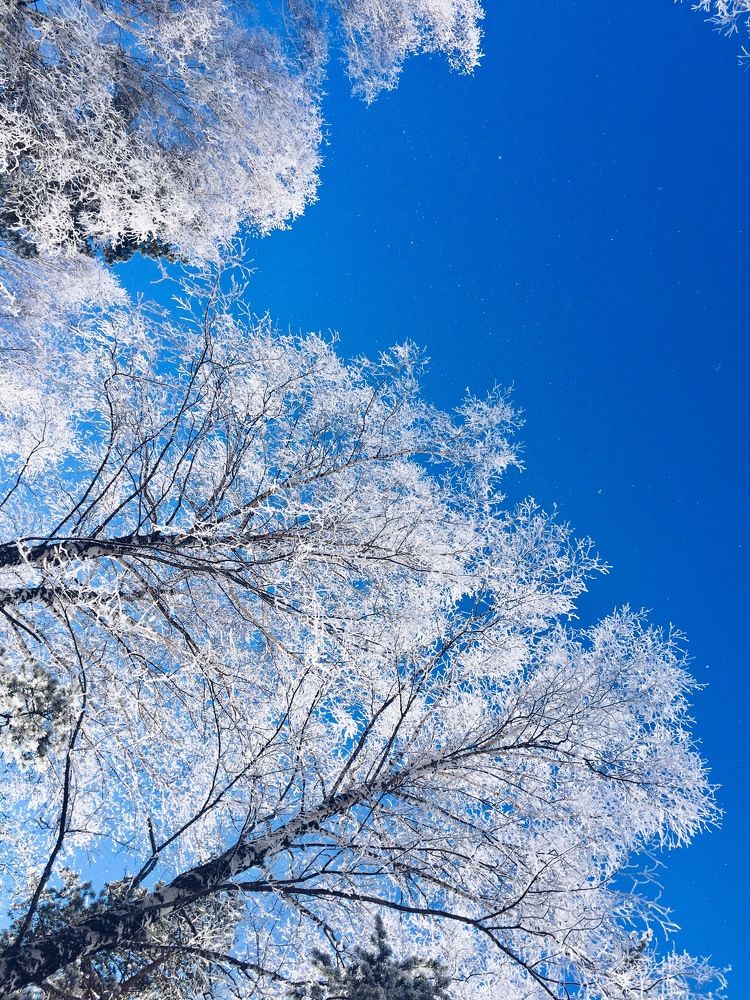 Photograph by Yana Vitkovskaya