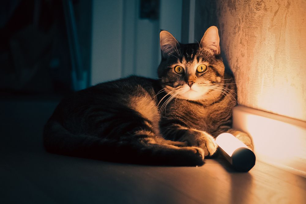 Photograph by Дмитрий Синицын