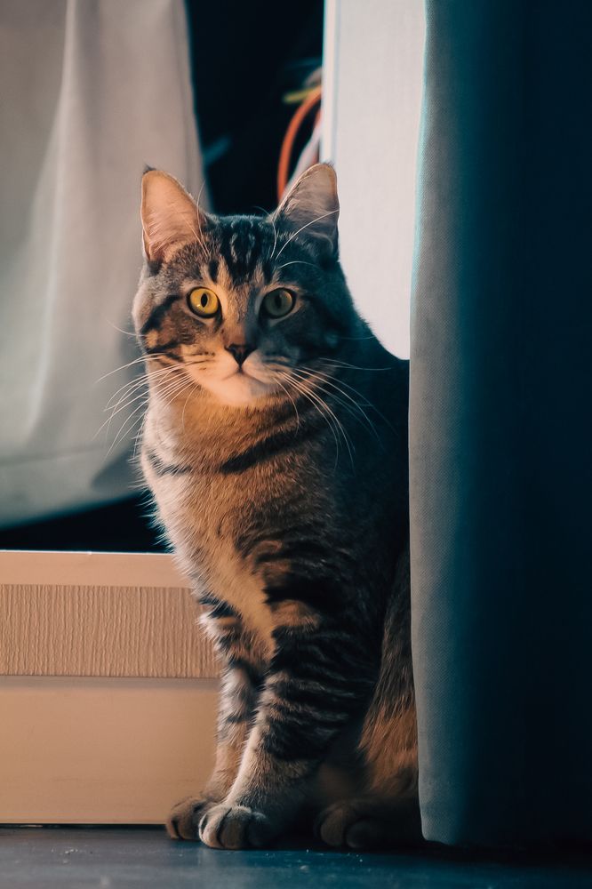 Photograph by Дмитрий Синицын