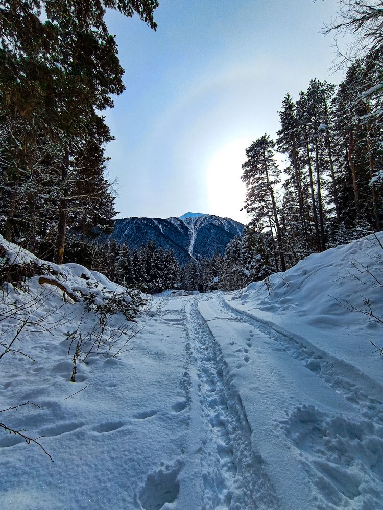 Дорога в долину. Архыз.