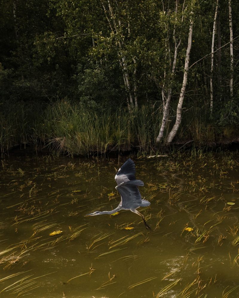 Photograph by Anton Gavrilov