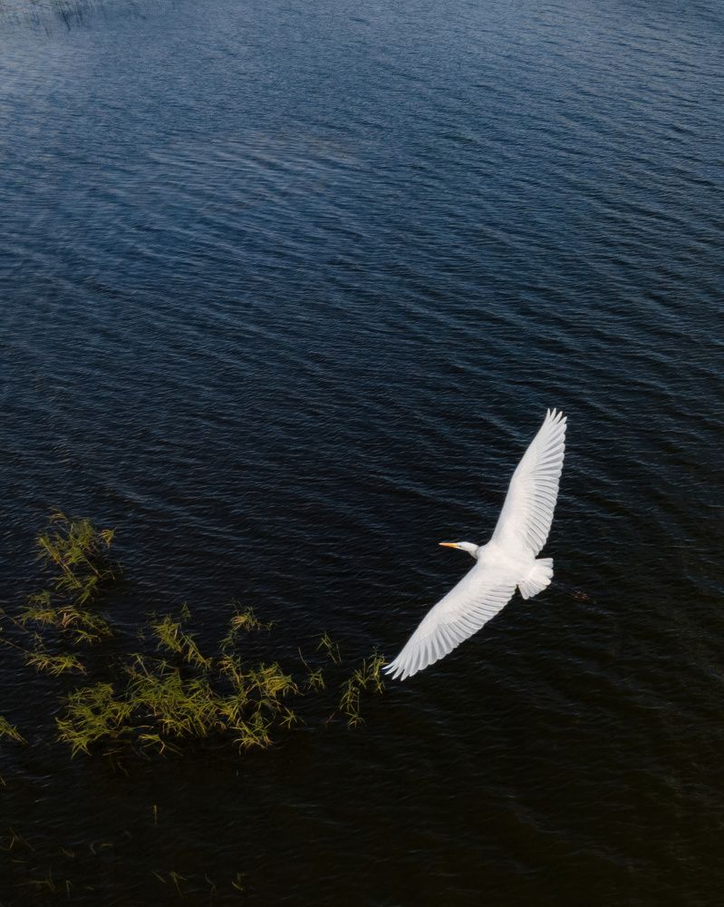 Photograph by Anton Gavrilov