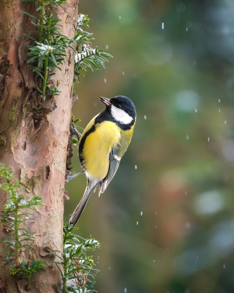 Photograph by Vadim Heinz