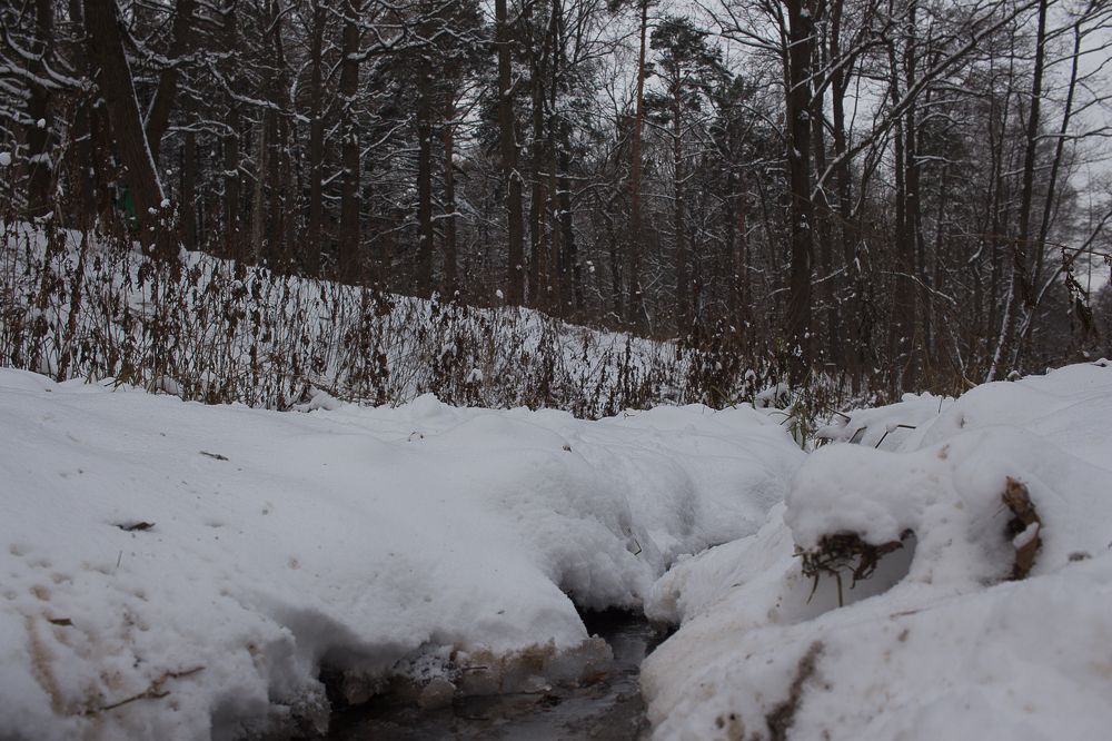 Photograph by Елена Шахова