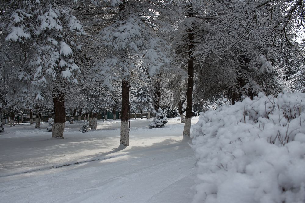 Photograph by Елена Шахова