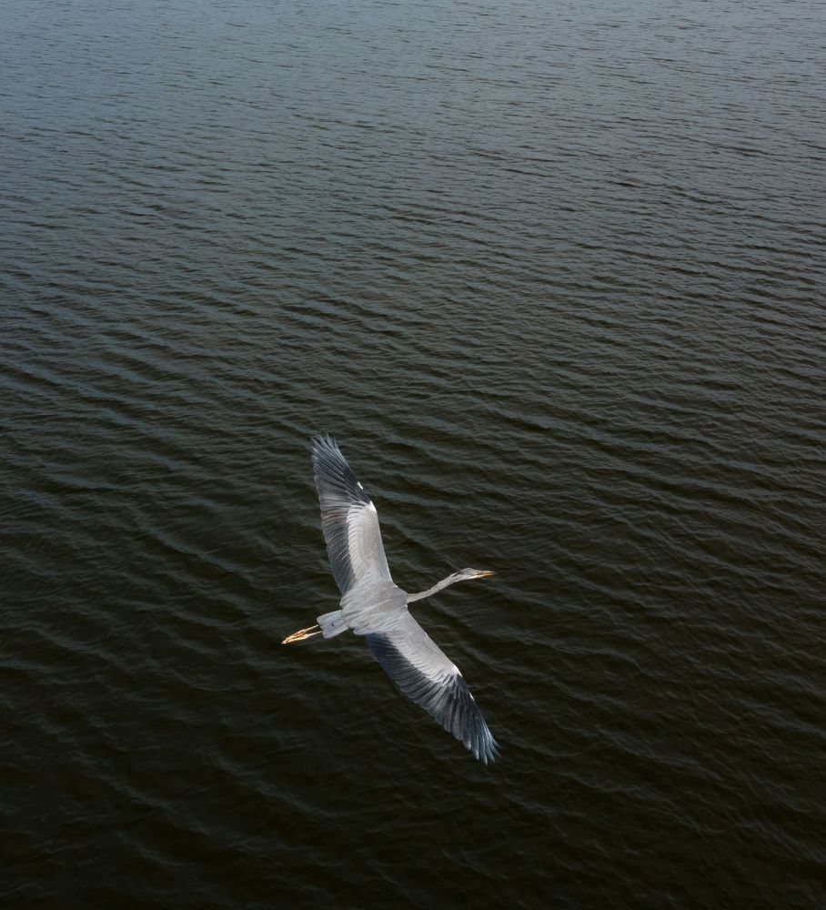 Photograph by Anton Gavrilov