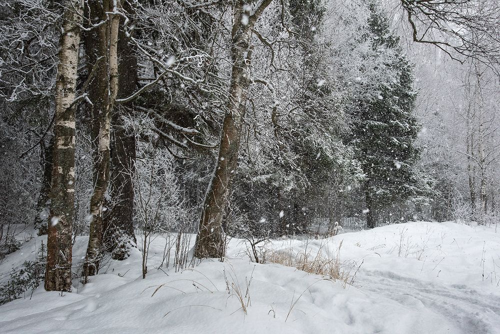 Photograph by Андрей Калинин