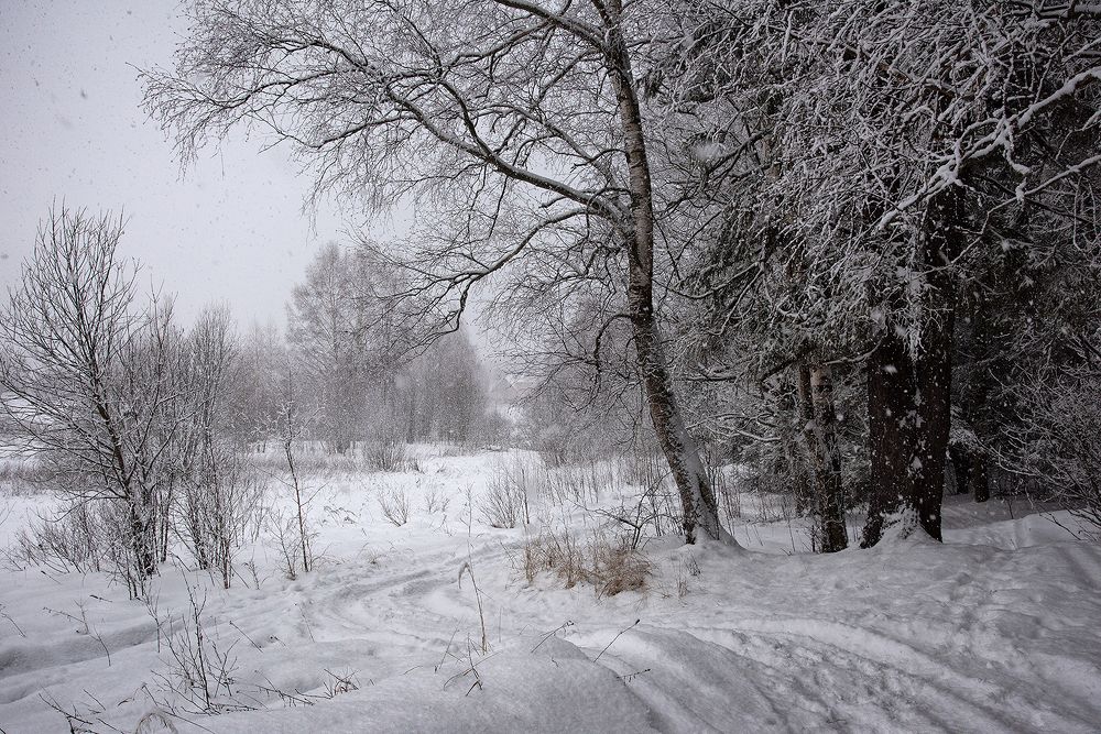 Photograph by Андрей Калинин