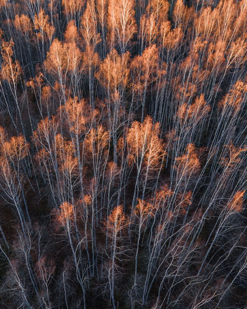 Photograph by Anton Gavrilov