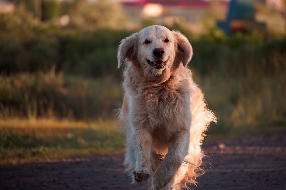 Photograph by Илья Десна