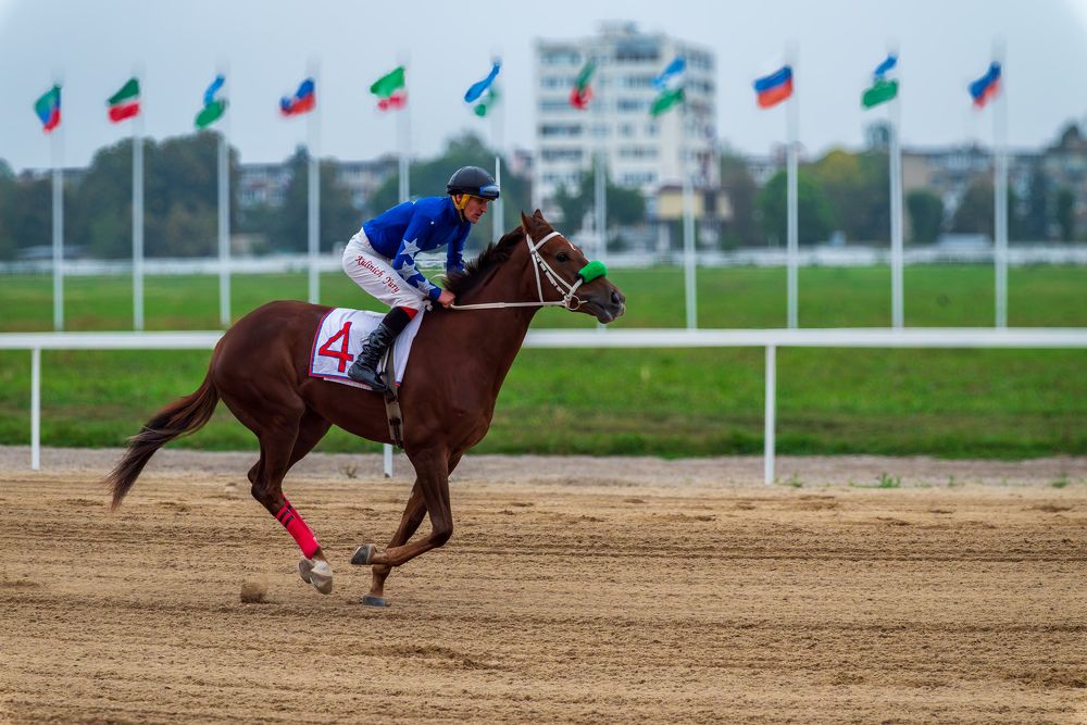 Фотография автора Дмитрий Referee