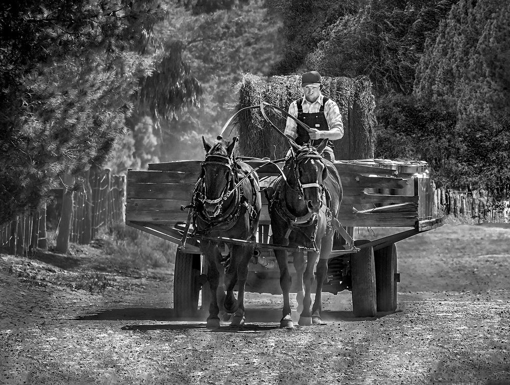 Photograph by Mario Fiorucci