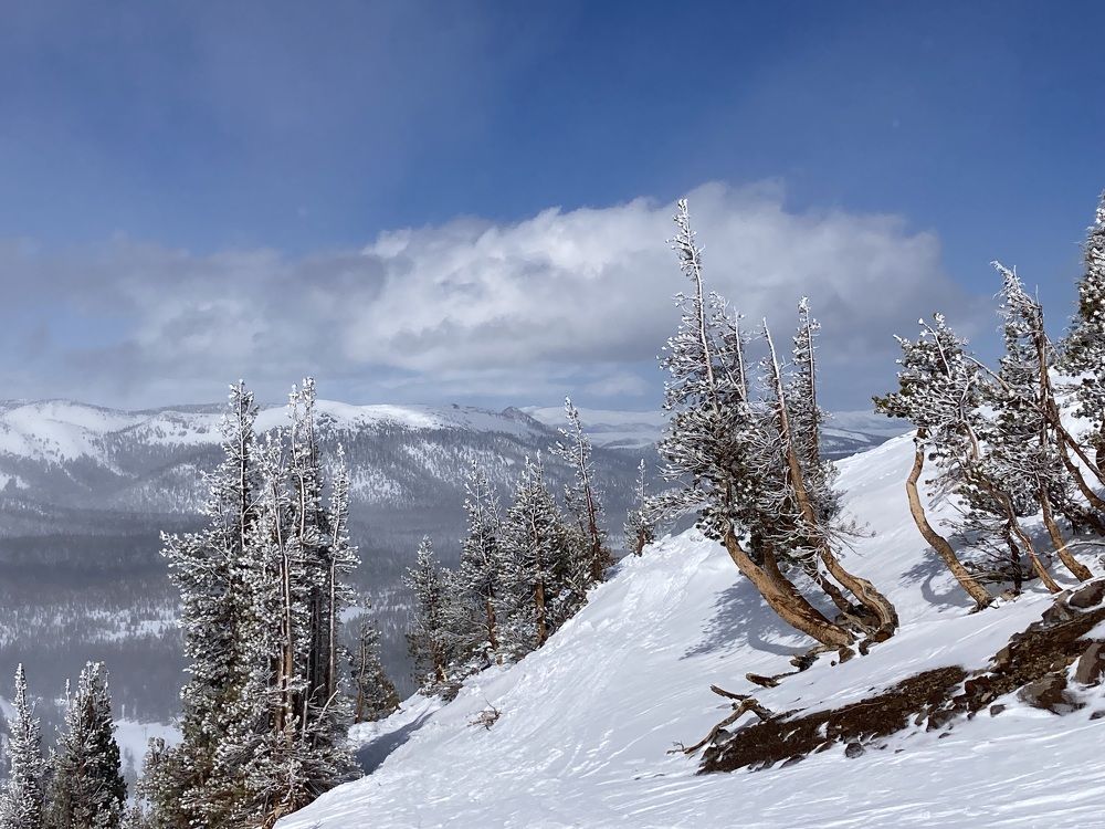 Фотография автора Елена