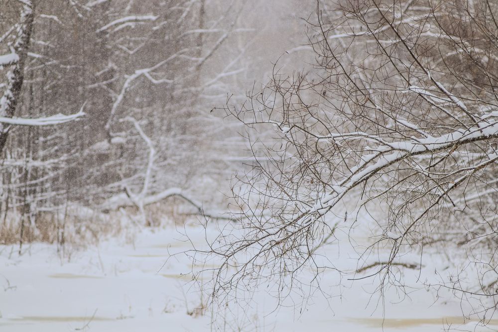 Photograph by Елена Квасова