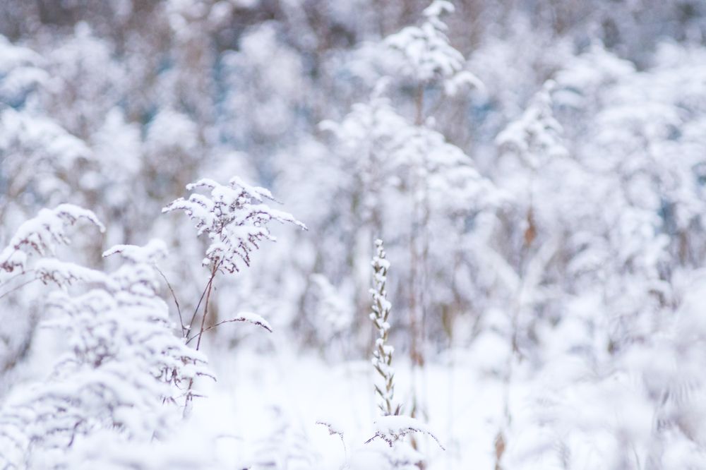 Photograph by Елена Квасова