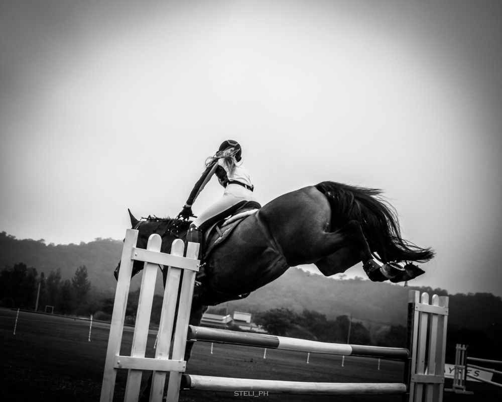 Photograph by Stella Agüero