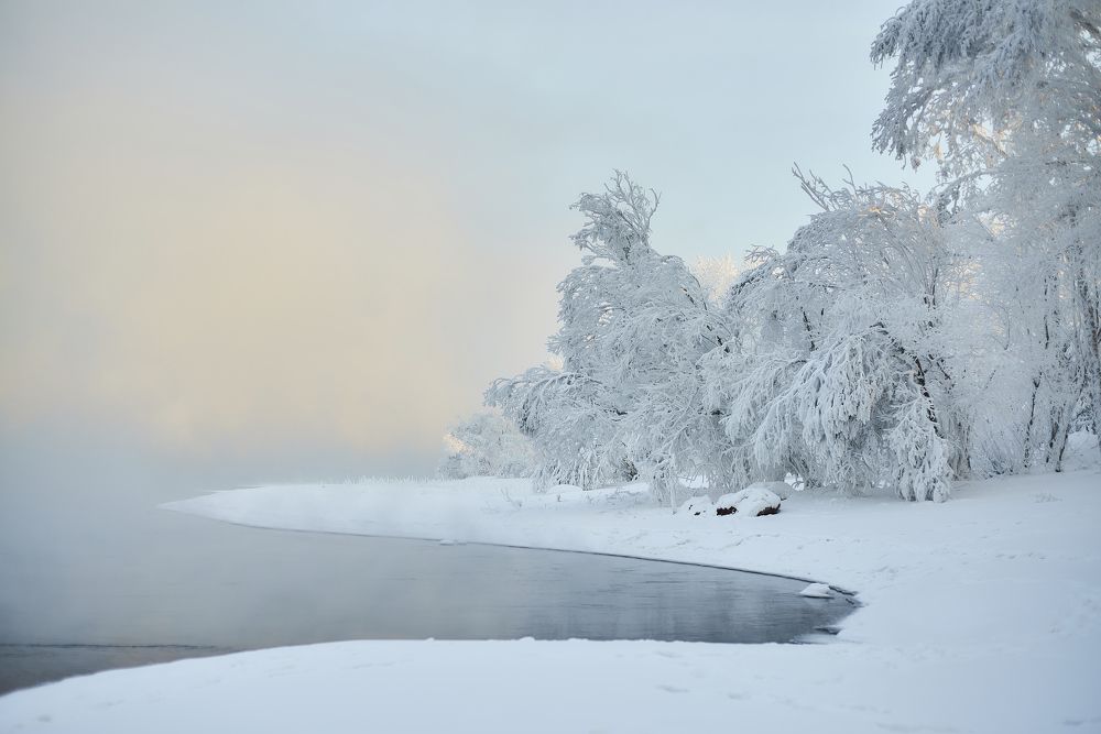 Photograph by Игорь Черемных