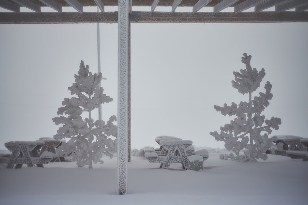 Photograph by Игорь Черемных