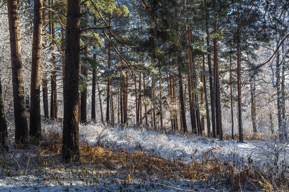 Photograph by Николай Головко