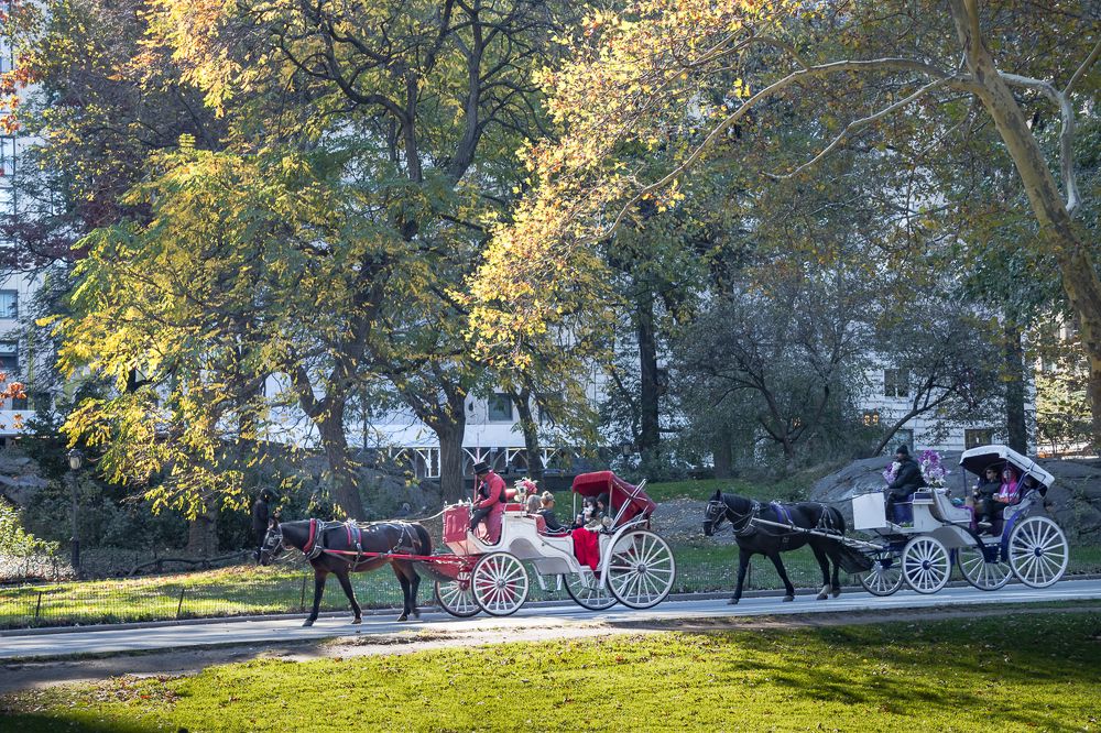 Photograph by Кермен Манджиева