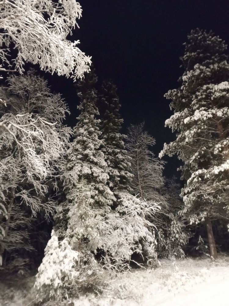 Photograph by Ирина Кортюкова