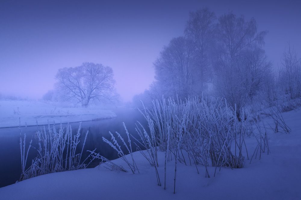 Photograph by Политова Анна