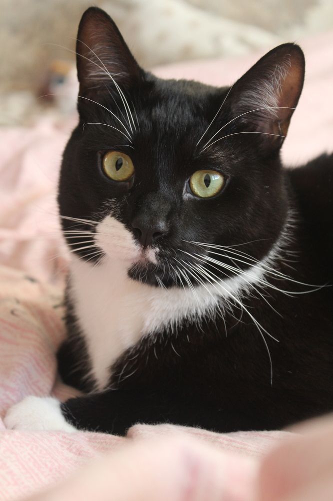 Photograph by Ольга Антанавичене