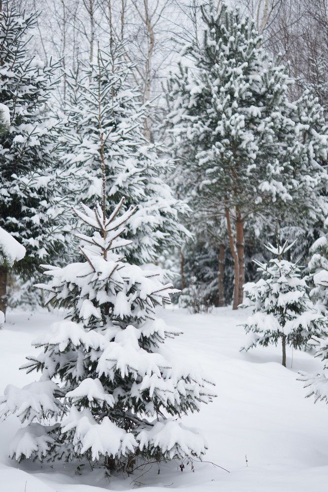 Photograph by Екатерина Стрельникова