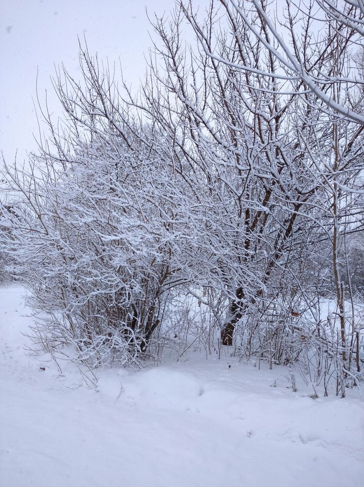 Photograph by Елена Коробченко