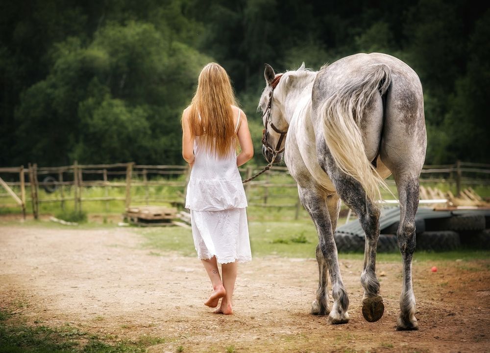 Photograph by Елена Раздвилова