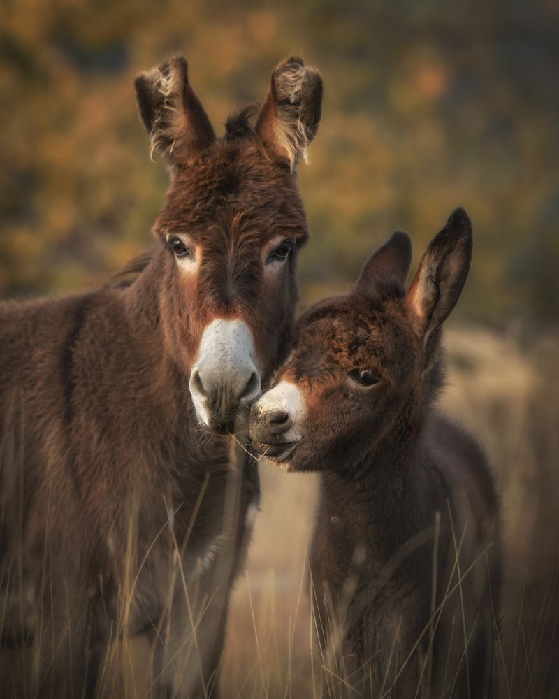 Фотография автора Рудченко Ольга