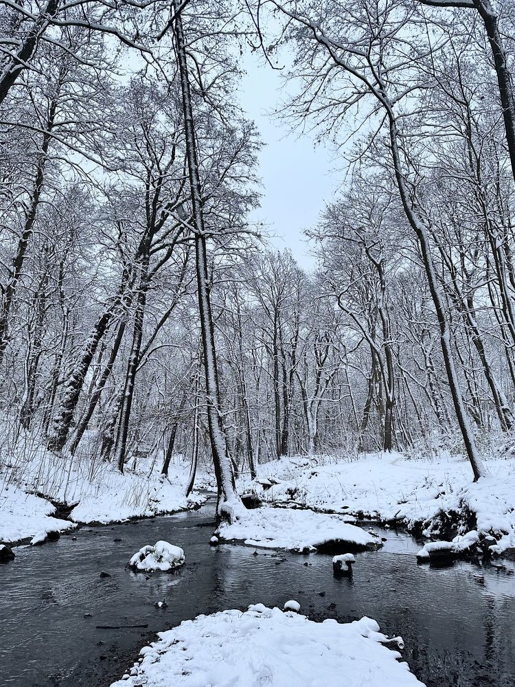 Photograph by Екатерина Балакина