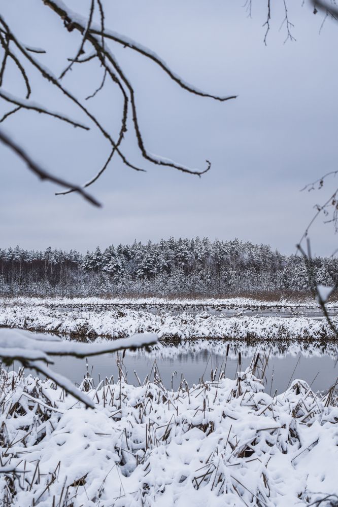 Photograph by Денис Мазычев