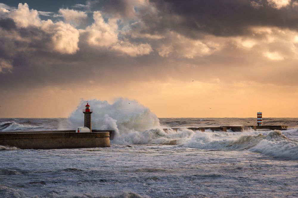 Photograph by Dace Spalvina