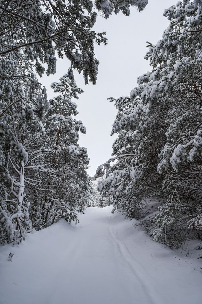 Photograph by Денис Мазычев