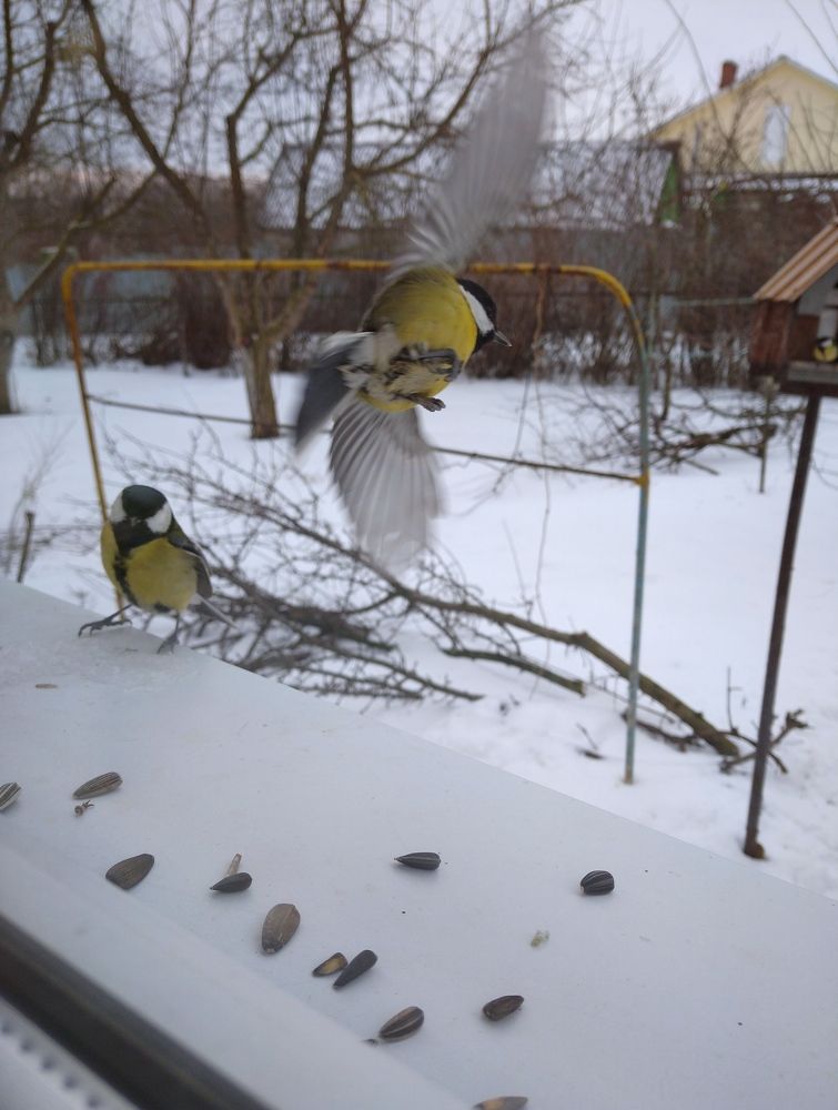 Photograph by Елена Коробченко