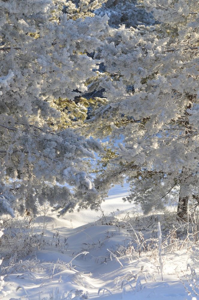 Photograph by Анастасия Тазиева