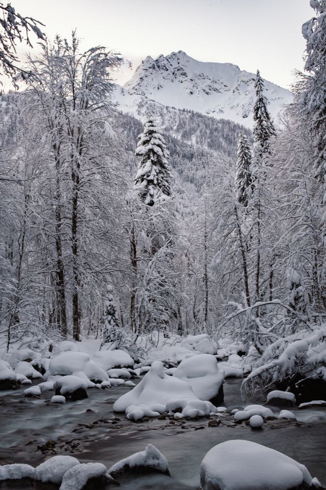 Photograph by Катерина