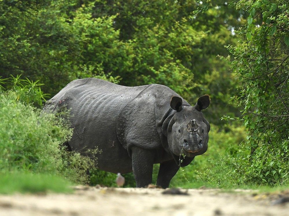 Photograph by Preet saluja