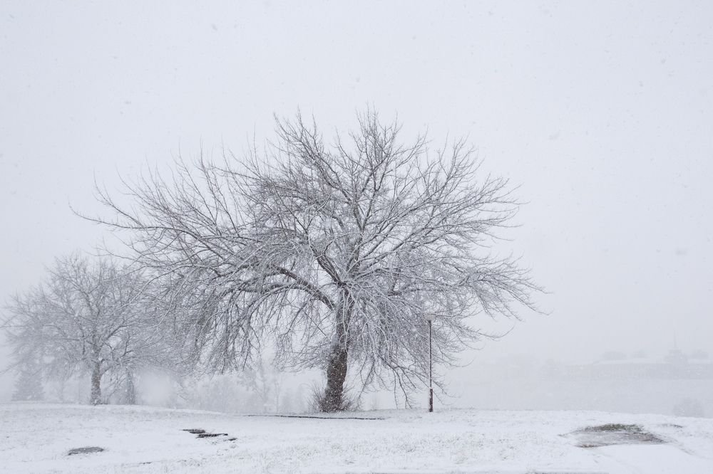 Photograph by Наталия Морозова