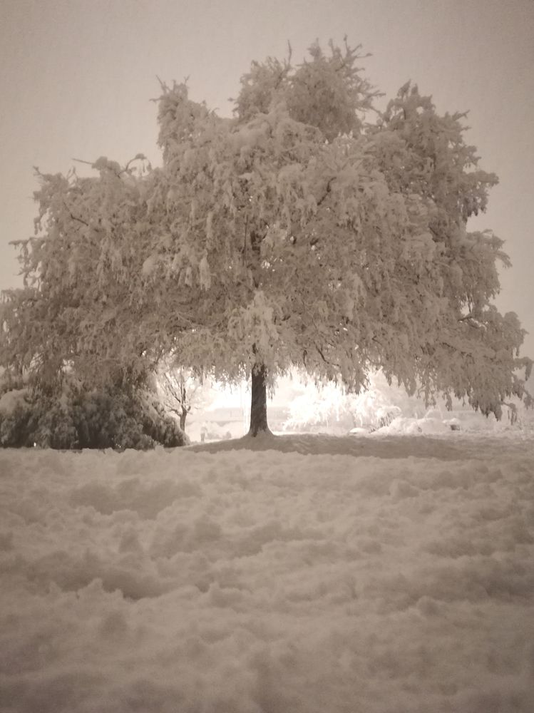 Photograph by Chami Maria