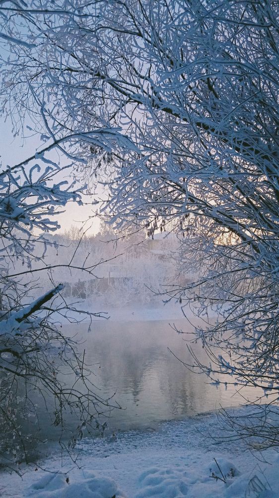 Photo #10006119