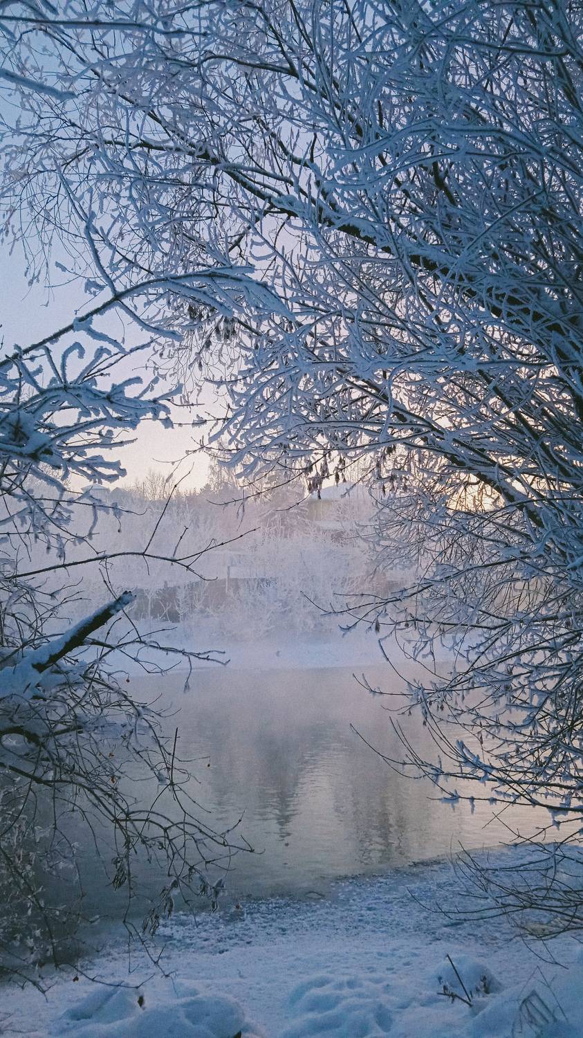 Photo #10006119