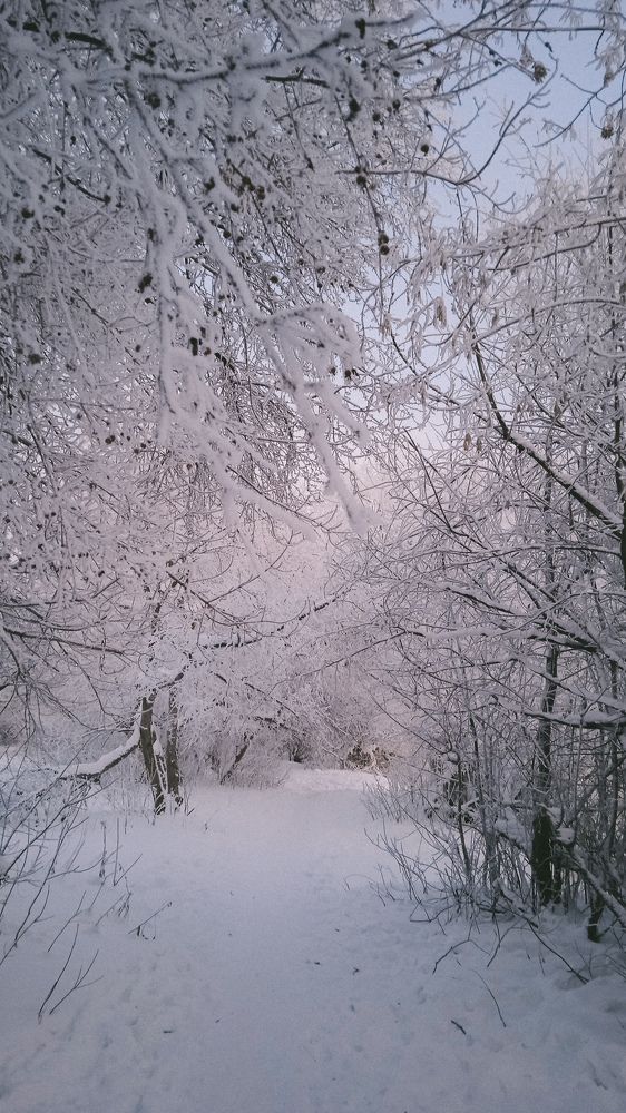 Photograph by Юлия Ипполитова